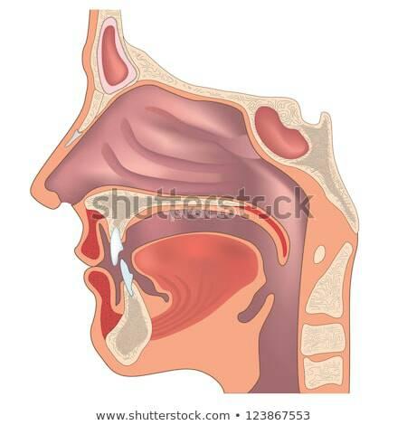 ENT clinic Dr Vijayalakshmi Subramanian Neredmet Hyderabad