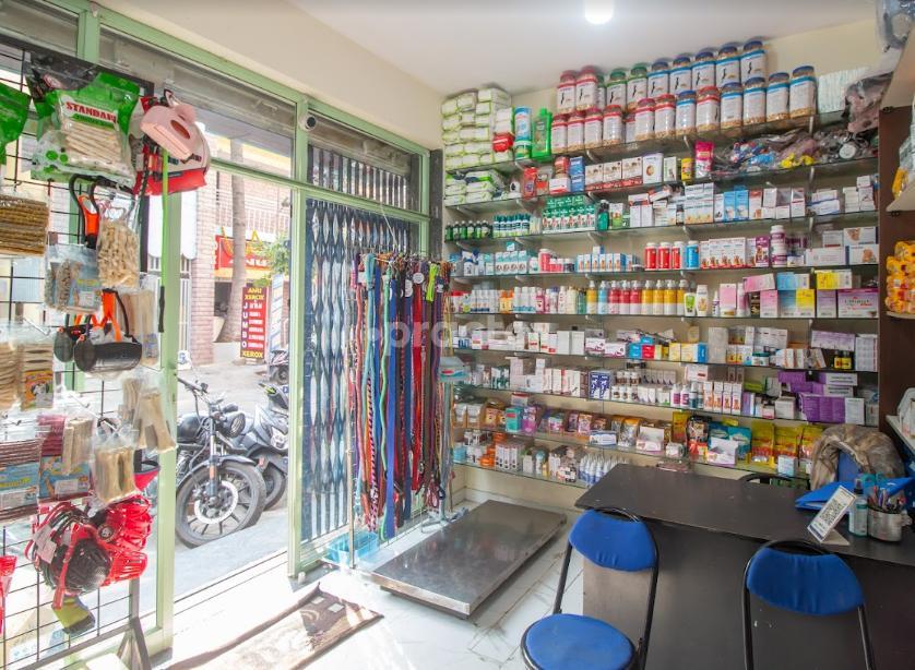 The Blue Capital Pet Hospital Vijayanagar Bangalore