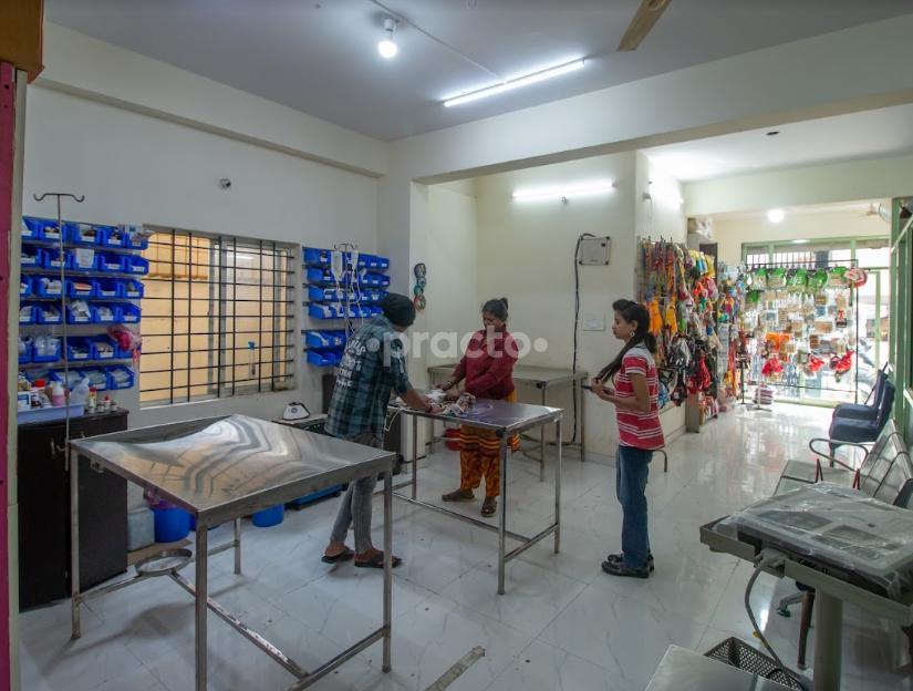 The Blue Capital Pet Hospital Vijayanagar Bangalore