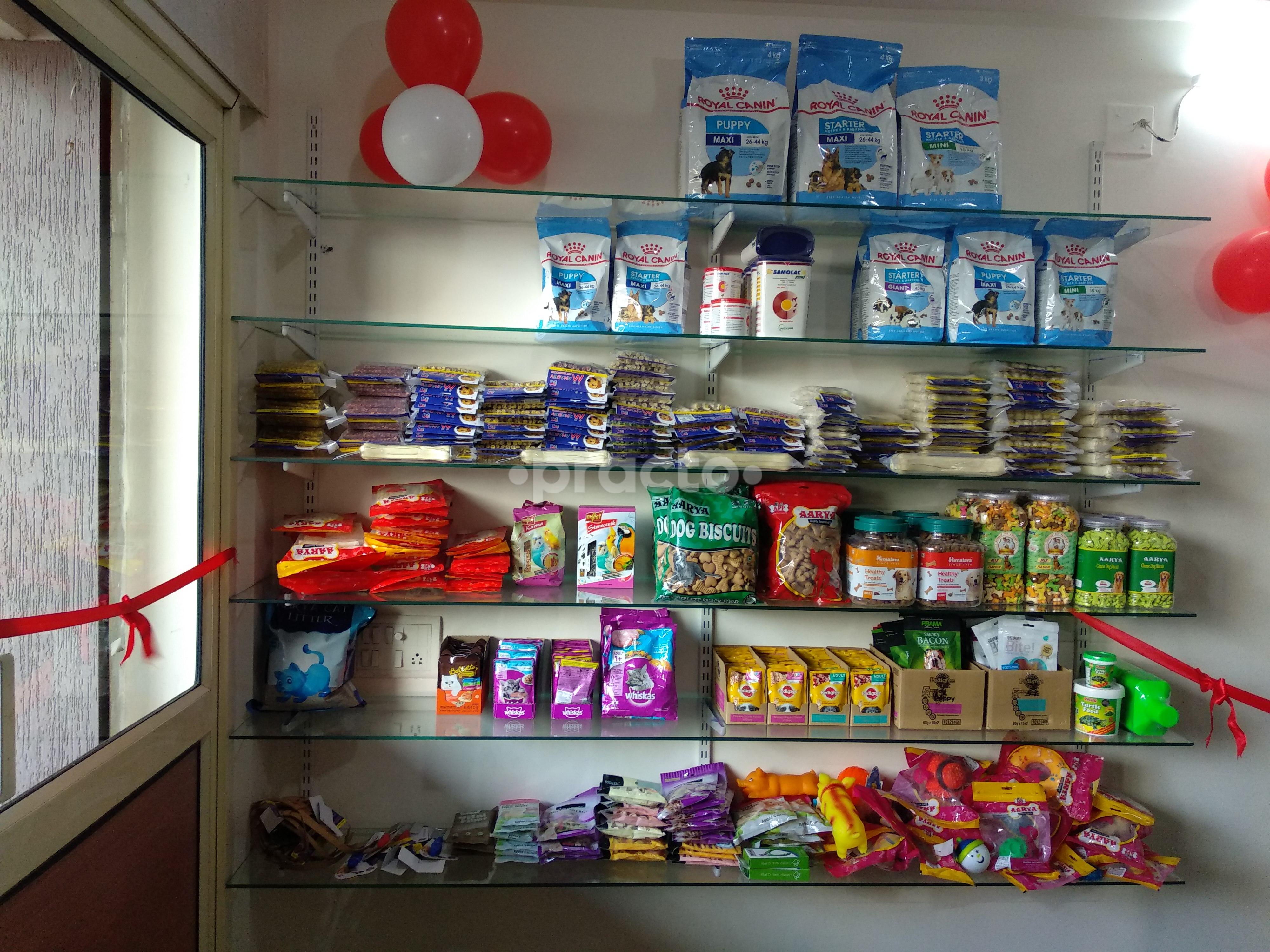 Entrance at Dr. C.M.S Pet Clinic Bopal Ahmedabad