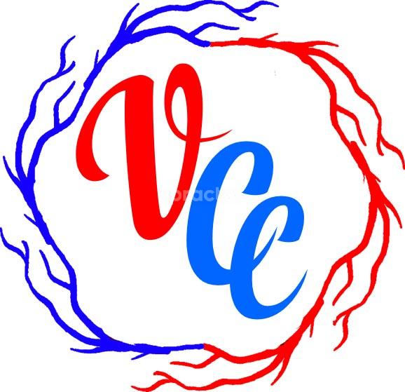 Vascular Care n Cure Clinic