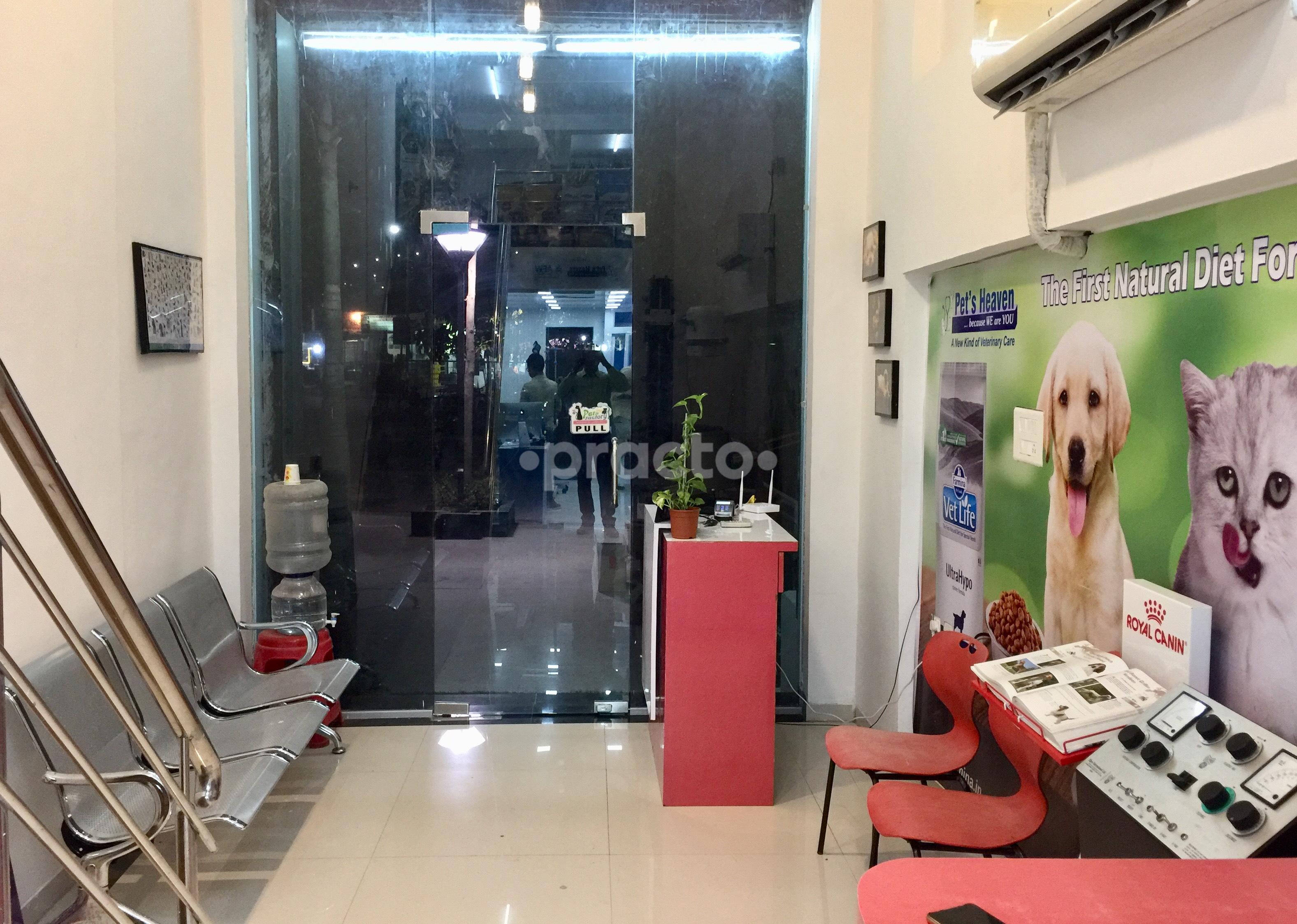 Reception at Pet's Heaven Undri Pune