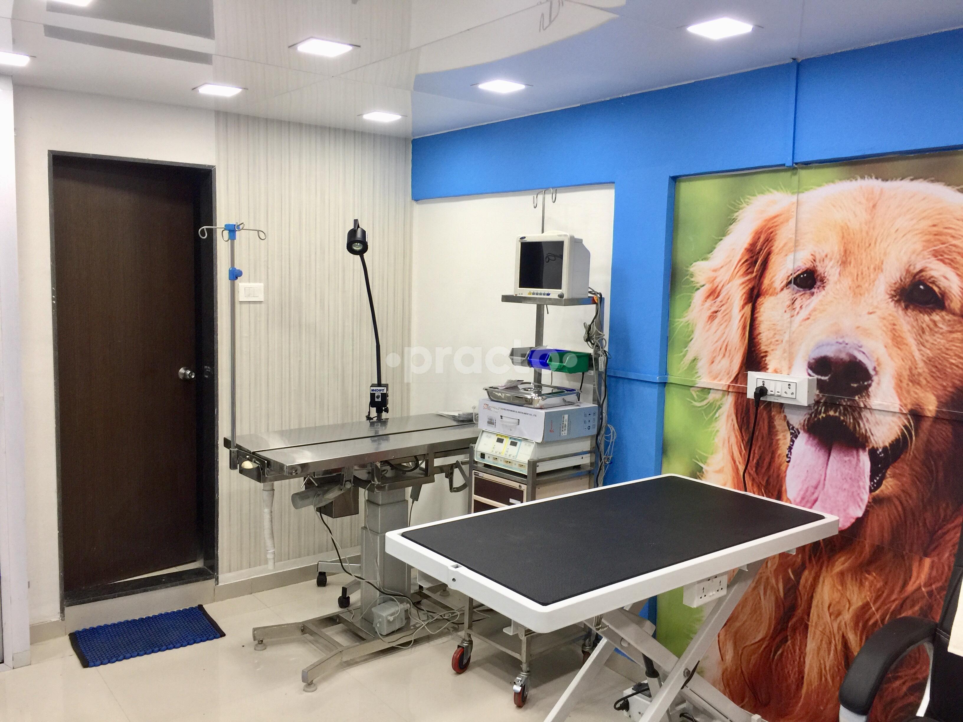OPD/Ward at Pet's Heaven Undri Pune