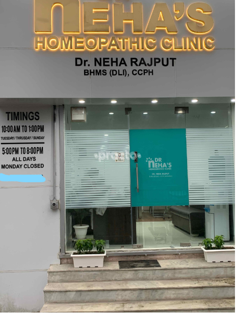 Dr. Neha Homeopathic Clinic Naraina Vihar Delhi