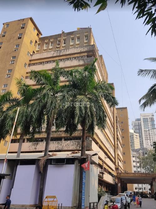 Nair Hospital Mumbai Central Mumbai