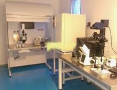 Parampara Fertility And Gynaec Centre Kilpauk Chennai