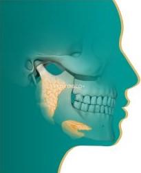 Mouth Jaw Face Clinic