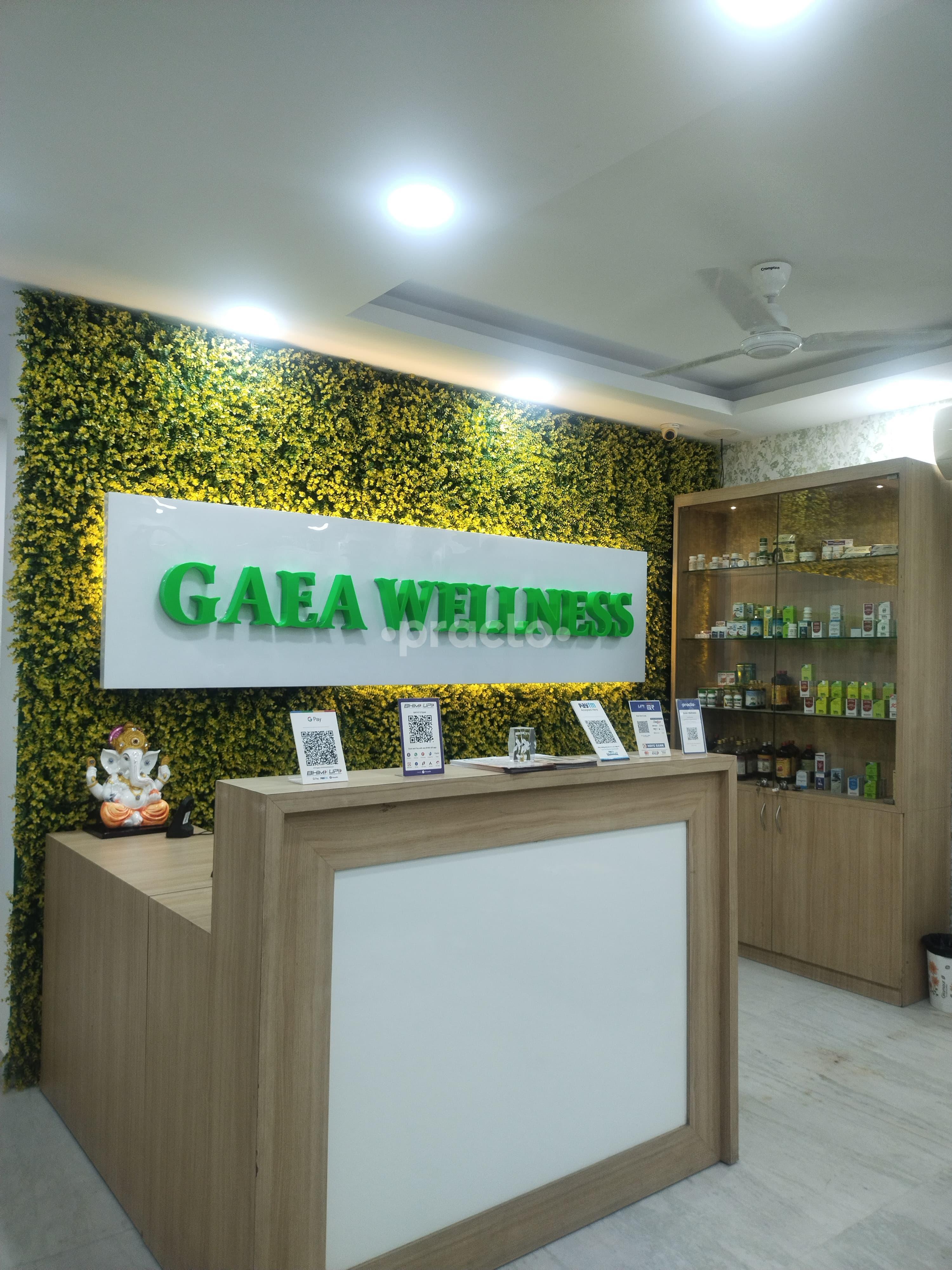 Reception Area at Gaea Wellness CR Park Delhi