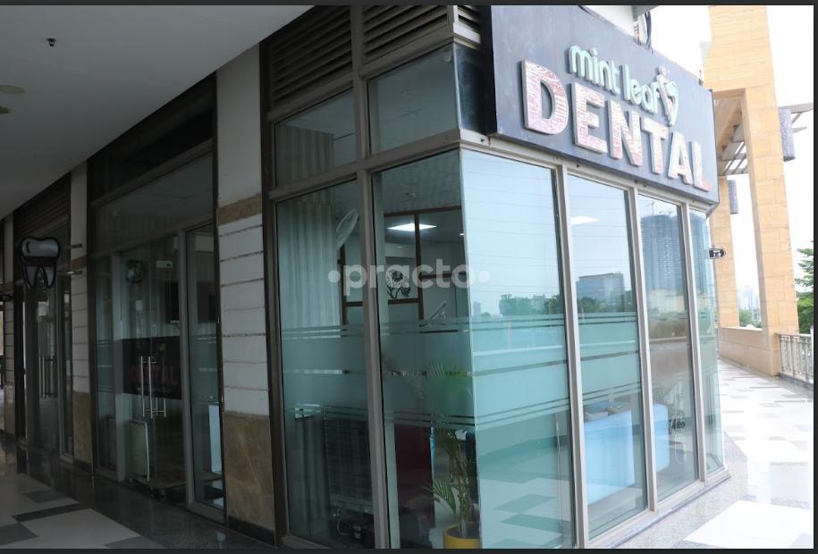 Mint Leaf Dental Gurgaon Sector 67 Gurgaon