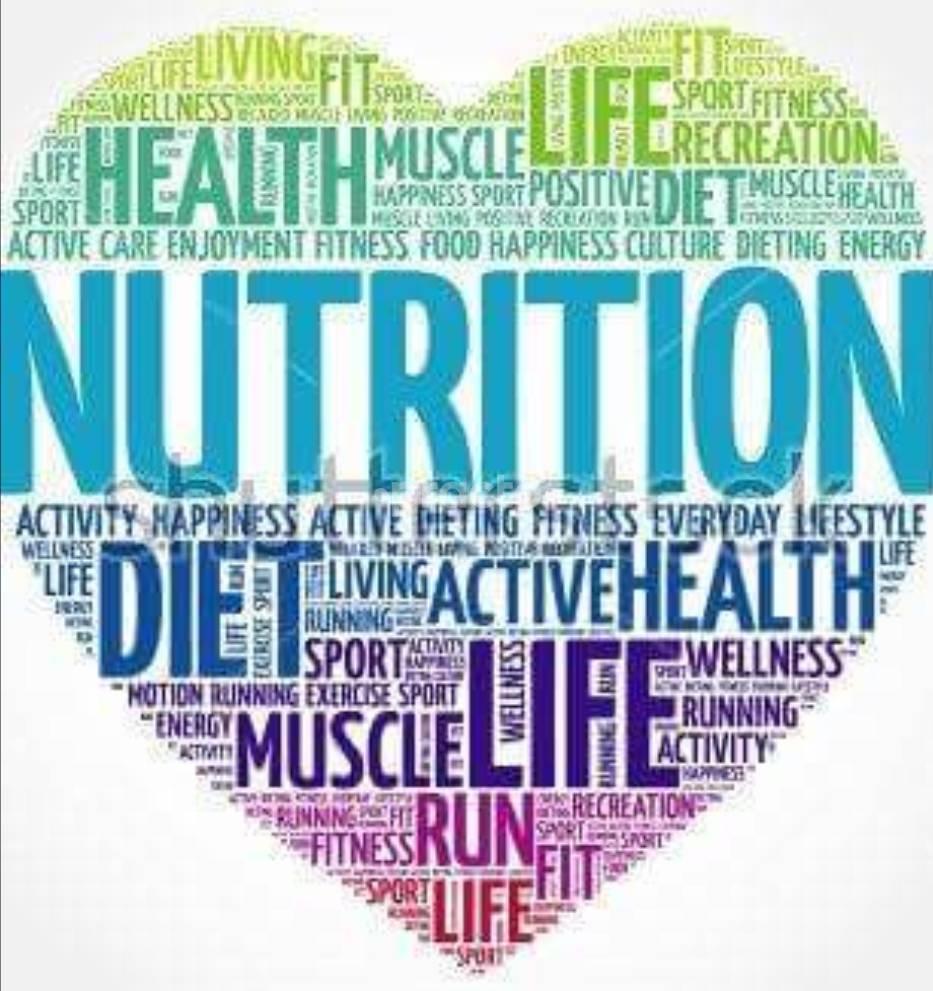 Nutrition 4 U Zakir Nagar Delhi