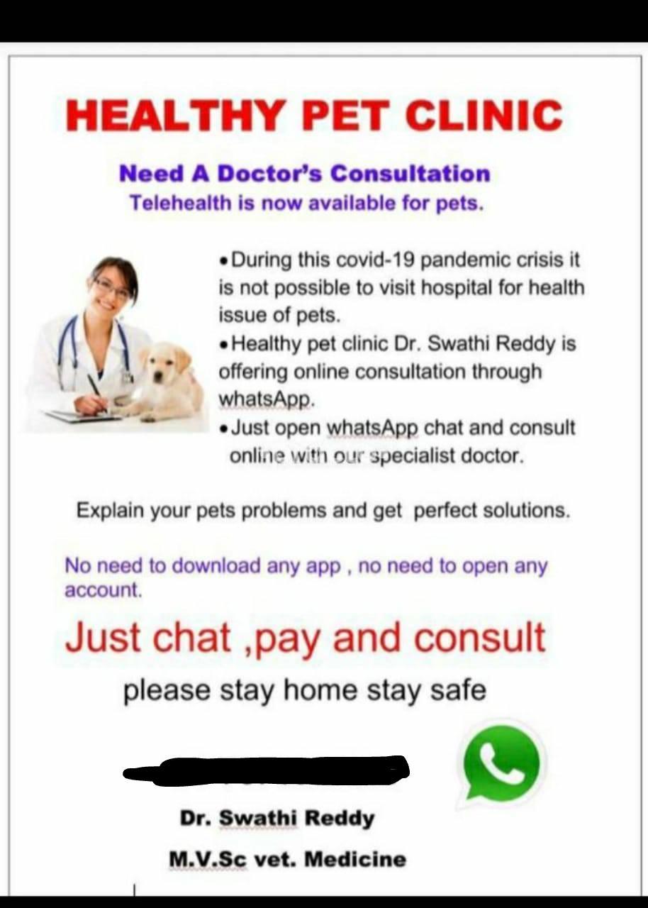 Healthy Pet Clinic Santosh Nagar Hyderabad