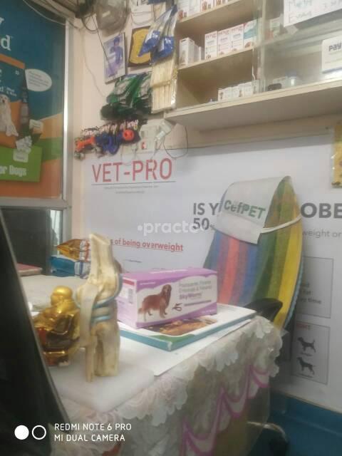 Reception Area at Vety Dog Clinic Kukatpally Hyderabad