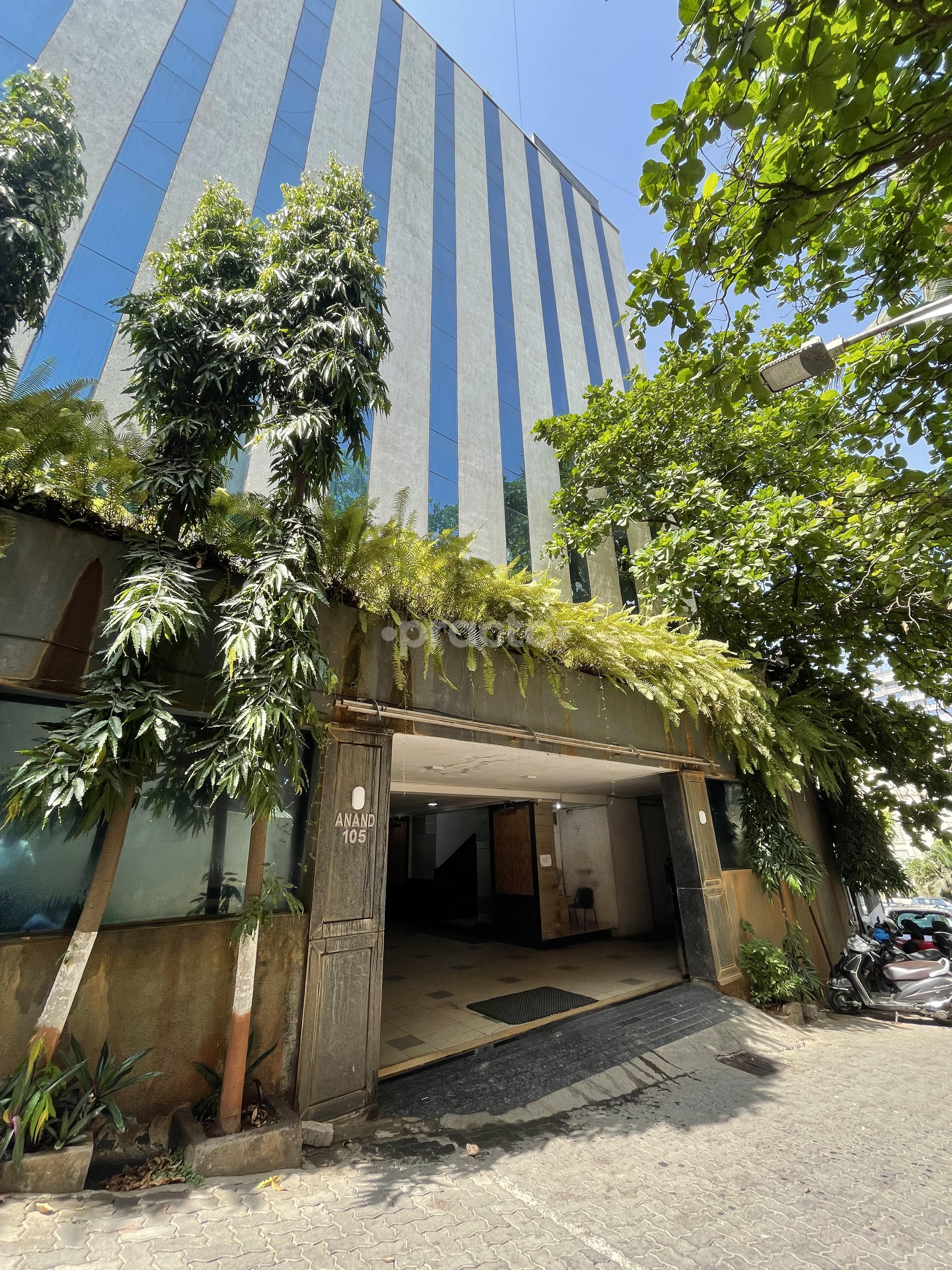 Outside Area at Skinwood Luxury Aesthetics Centre  Bandra West Mumbai