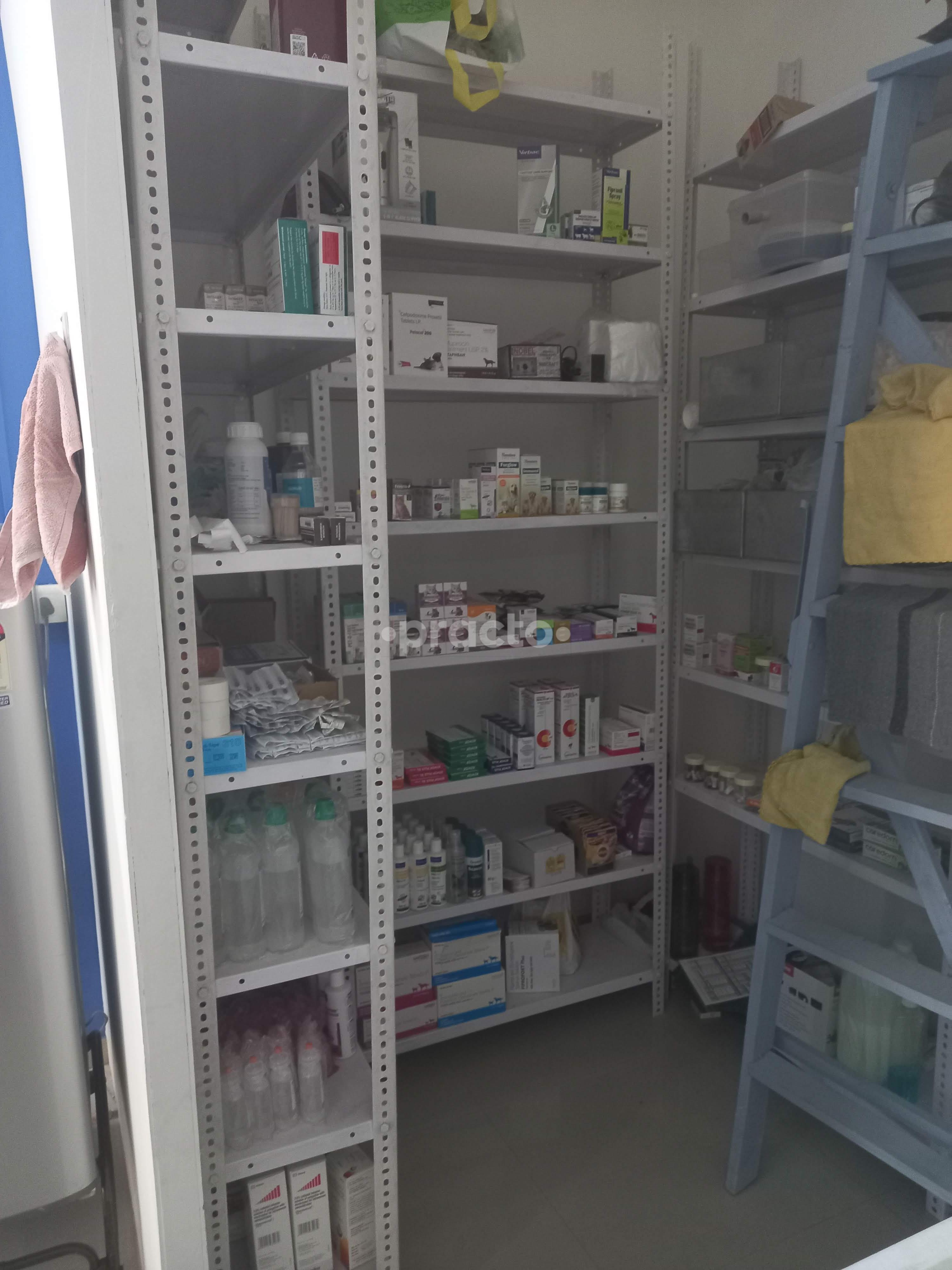 Pet Mantra Veterinary Clinic Bhayli Vadodara