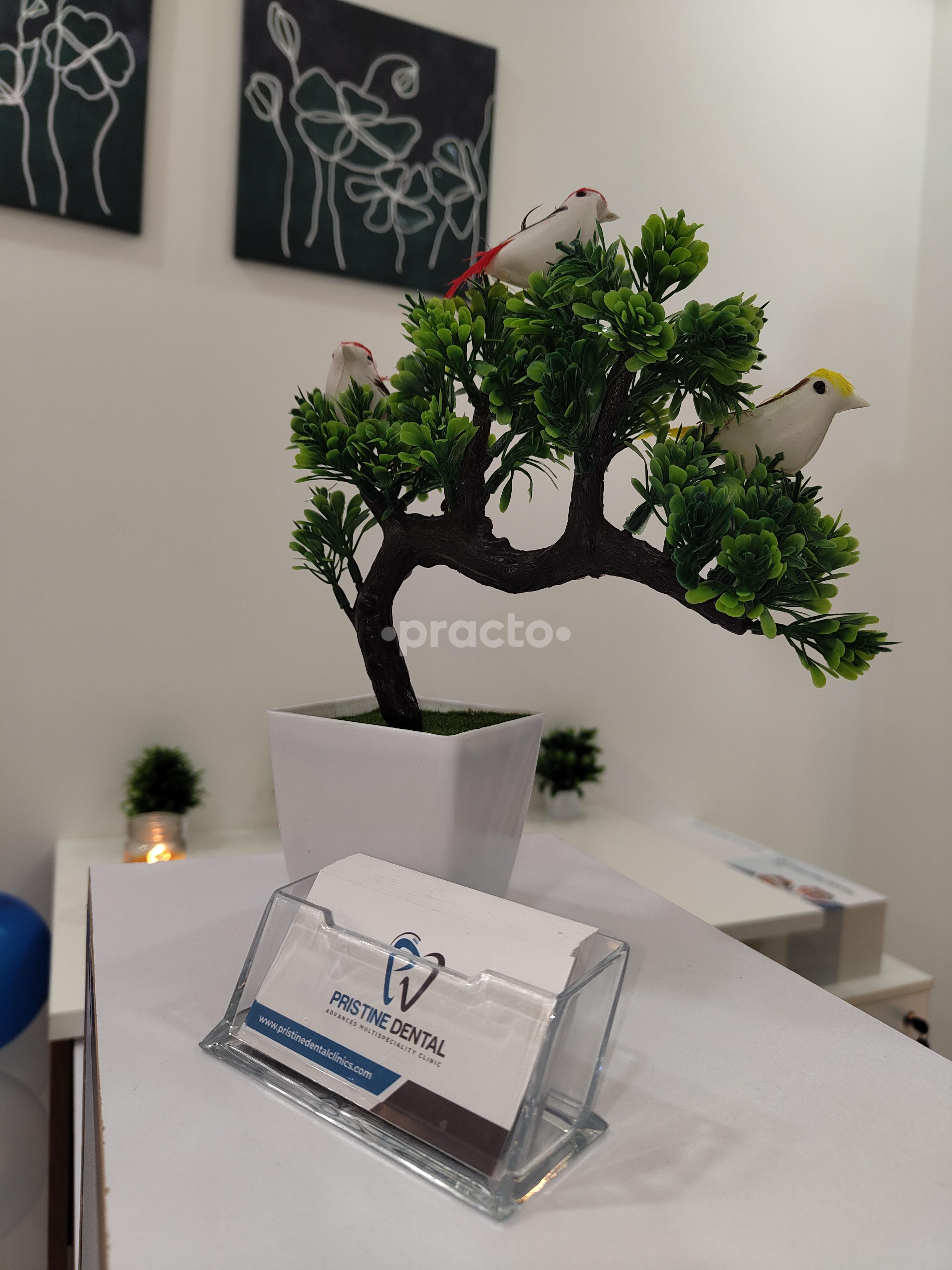 Reception Area at Pristine Dental Advanced Multi-Speciality Clinic HSR Layout Bangalore