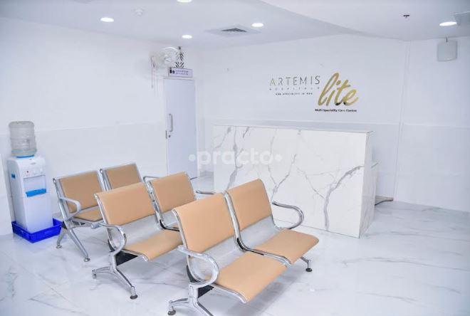 Artemis Lite New Friends Colony Delhi
