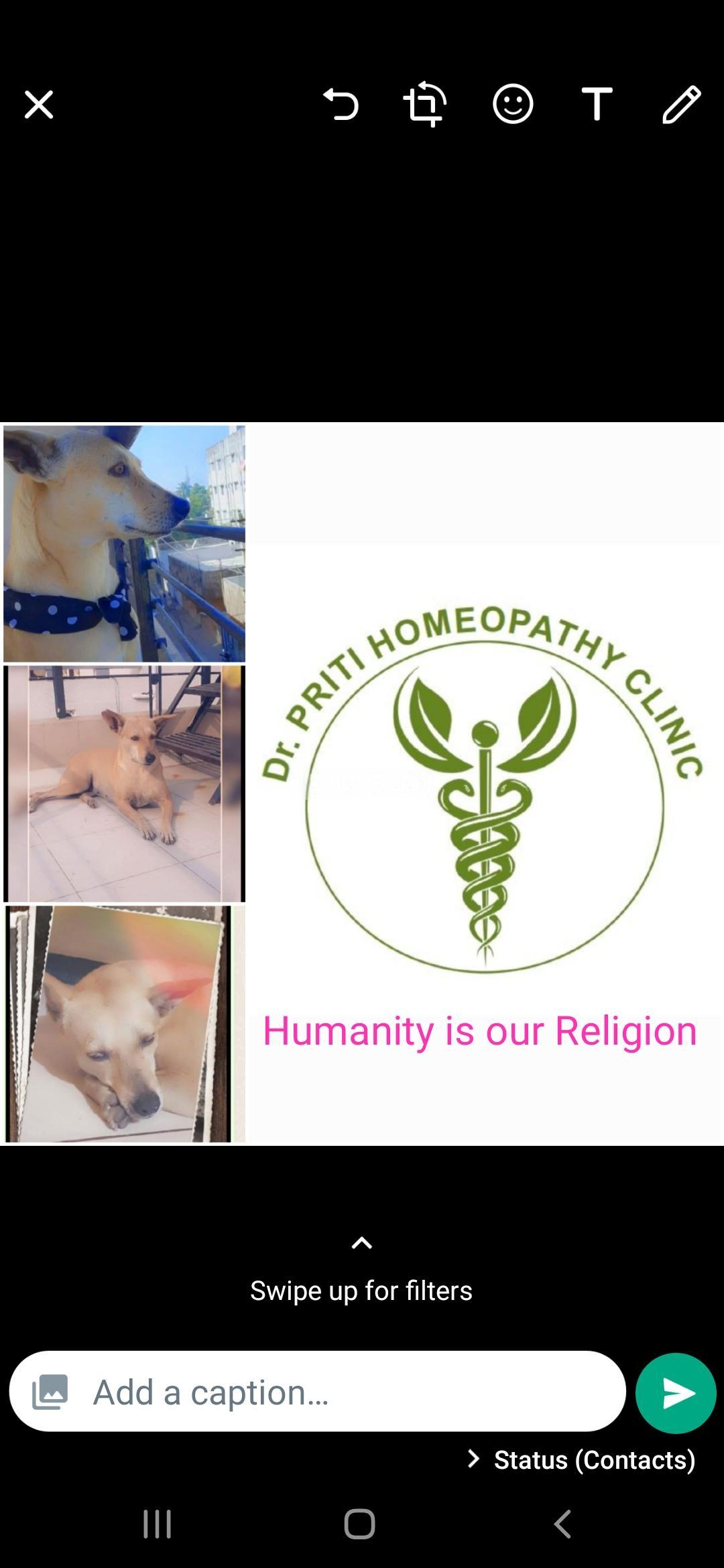 Dr. Priti's Homeopathy Clinic Chhani Vadodara