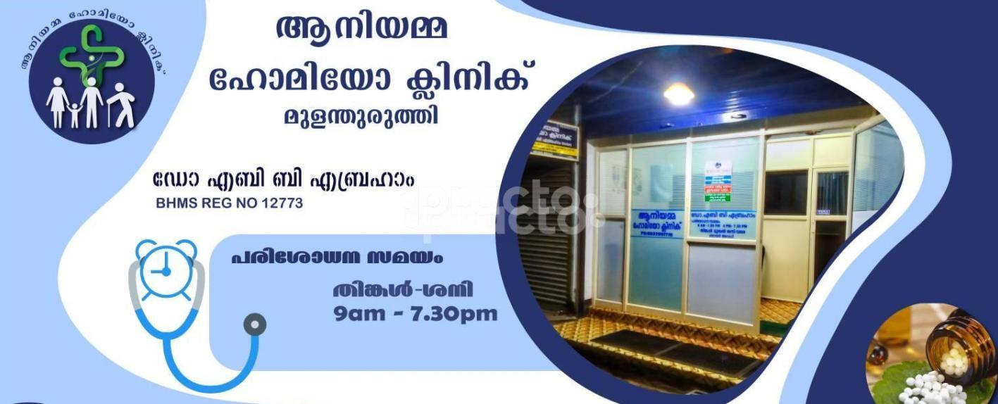 Anniyamma Homeo Clinic Mulanthuruthy Ernakulam