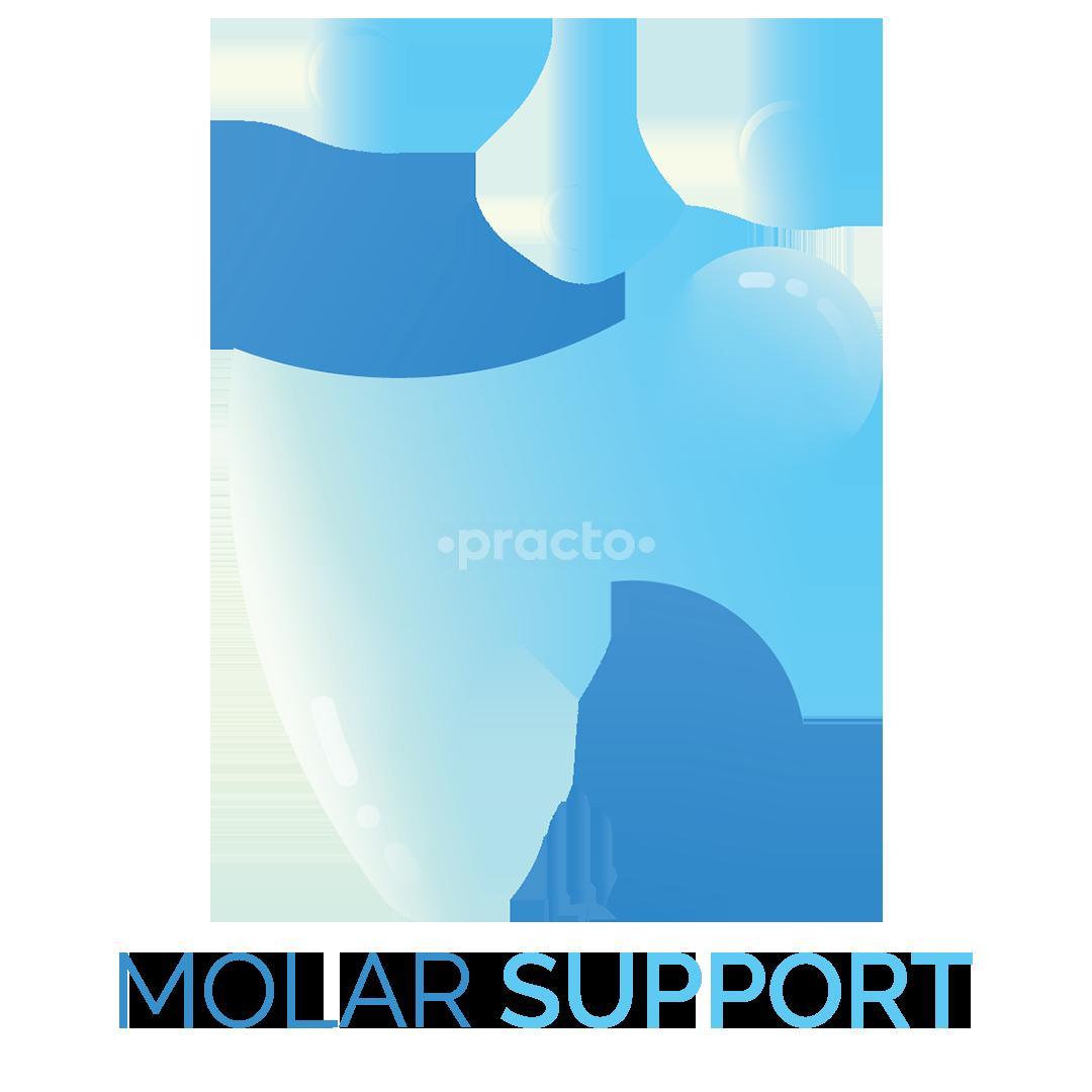 Molar Support Dental Clinic