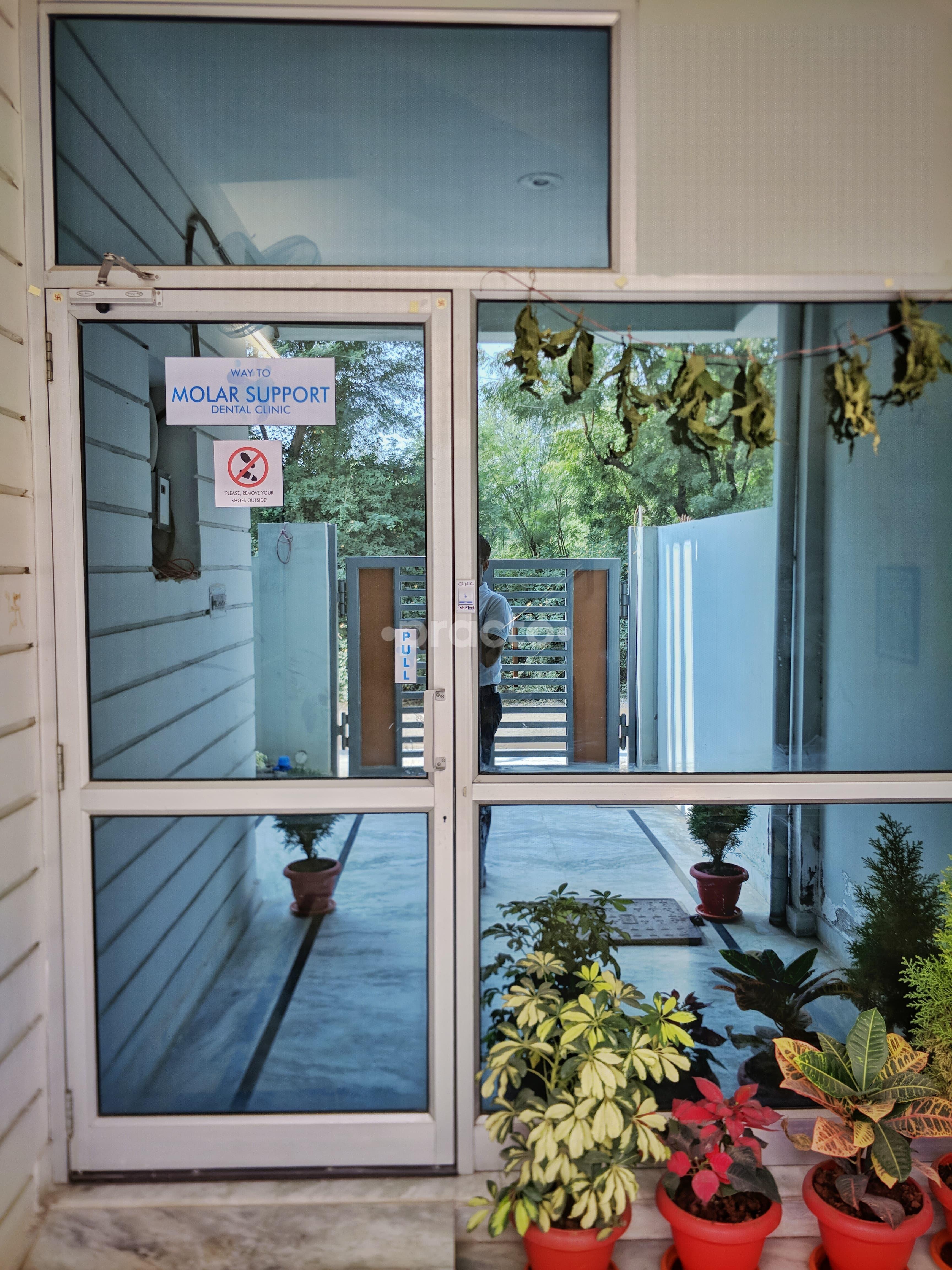 Molar Support Dental Clinic Pratap Nagar Jaipur