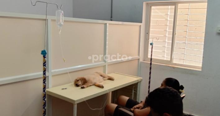 Pet Choice Animal Hospital Nanakramguda Hyderabad