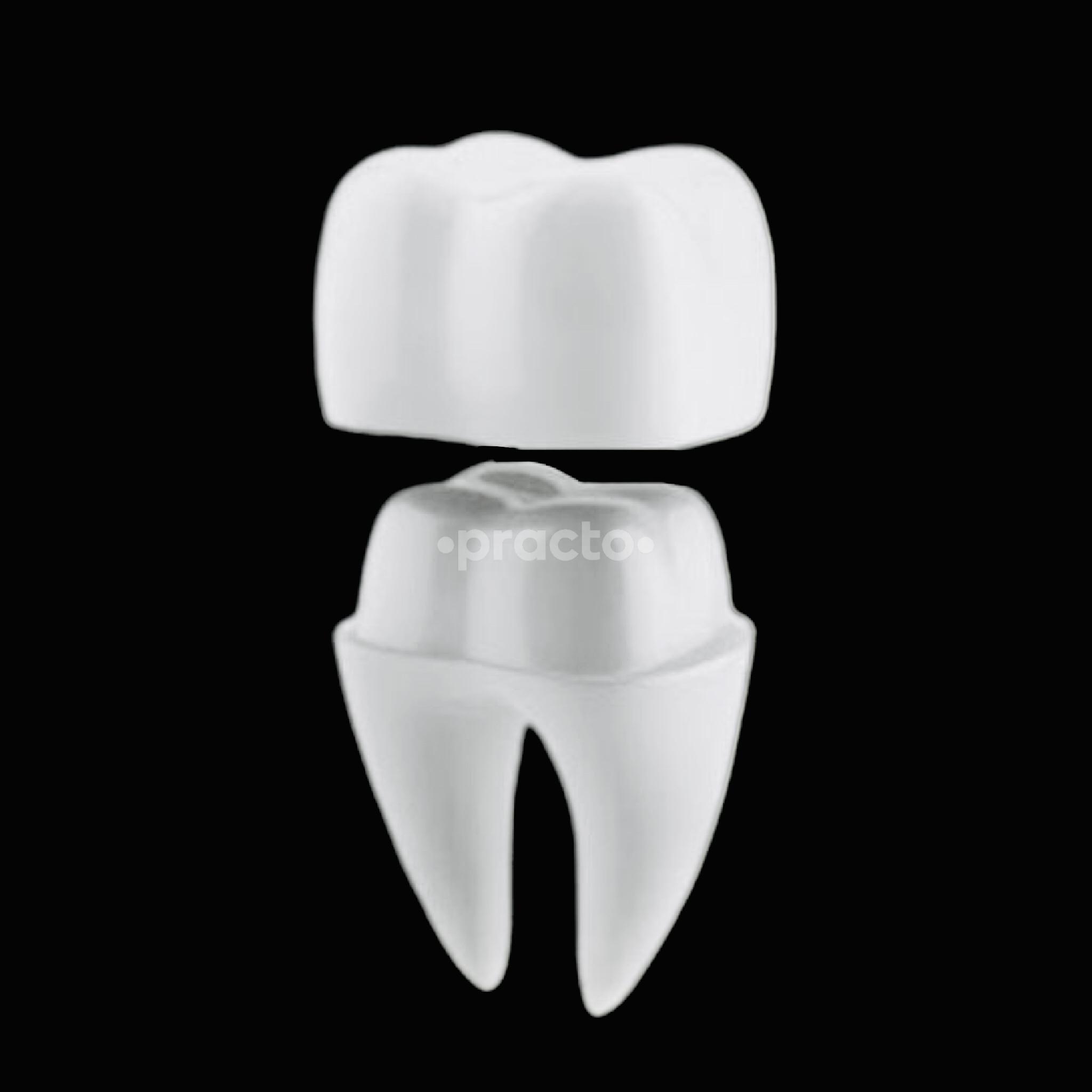 Zircon Dental Clinic Gurgaon Sector 39 Gurgaon
