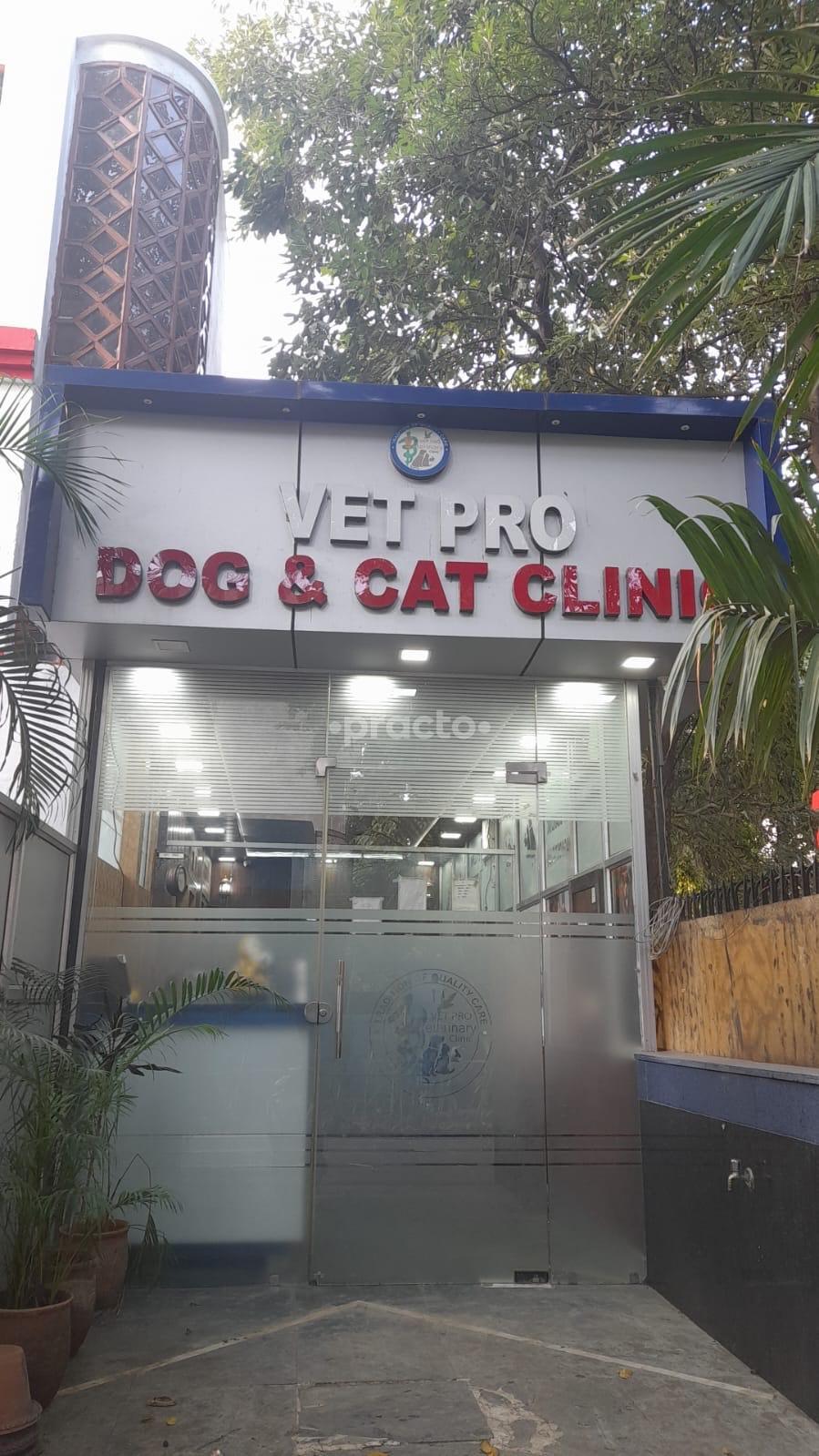 Outside Area at Vet Pro Dog and Cat Clinic Alpha I Greater Noida