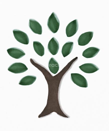 Aarogya Wellness Clinic