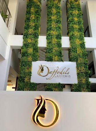 Daffodils By Artemis Gurgaon Sector 40 Gurgaon
