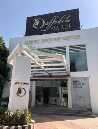 Daffodils By Artemis Gurgaon Sector 40 Gurgaon
