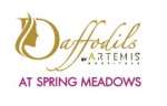 Daffodils By Artemis At Spring Meadows