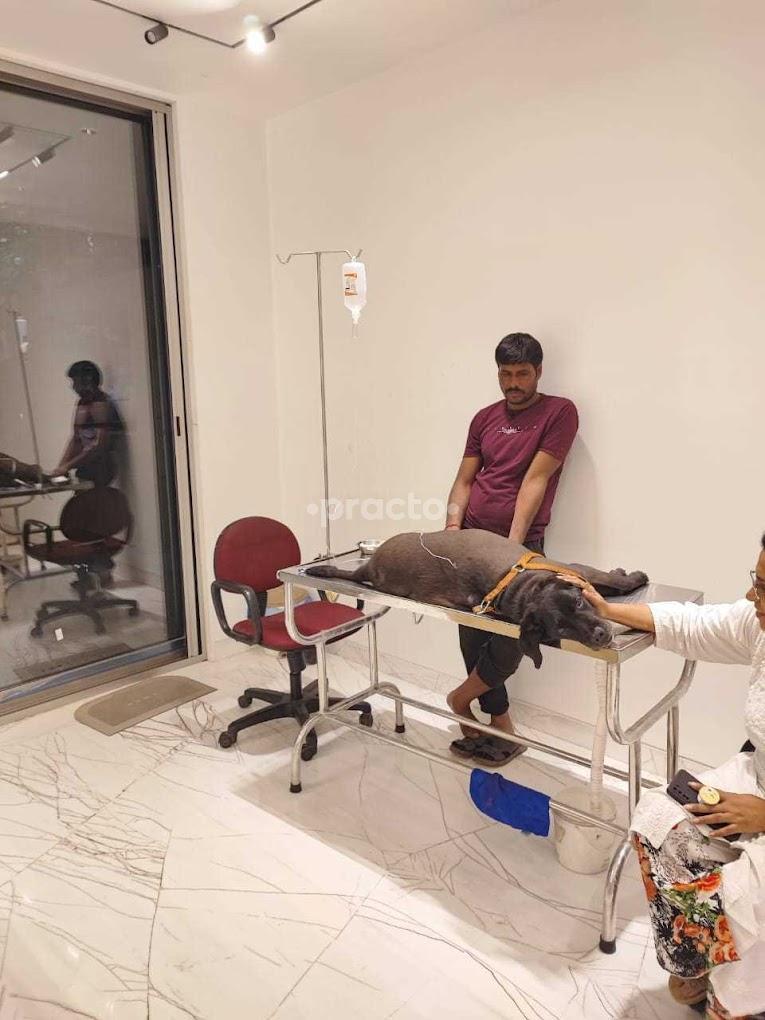 Consultation Room at Asha Holistic Pet Care Clinic South City-II Gurgaon