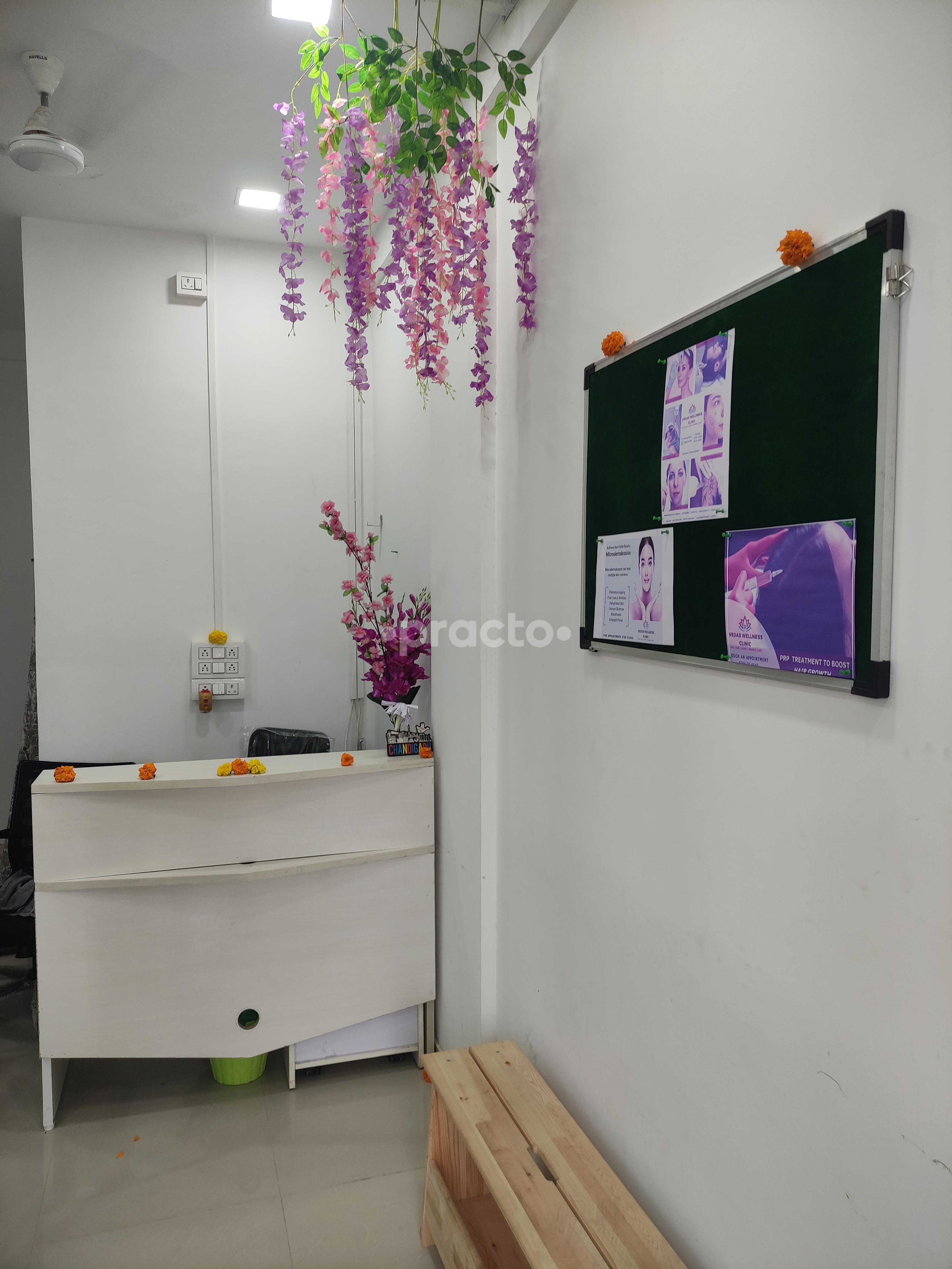 Reception Area at Vedas Wellness Clinic Kiwale Pune