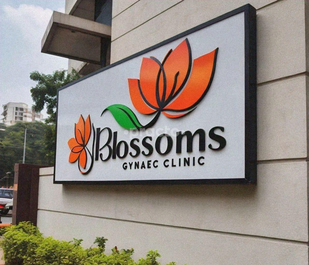 Outside Area at Blossoms Gynaec Clinic Pitampura Delhi