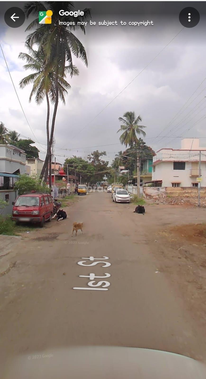 Outside Area at Mental Health Counselling Centre Coimbatore Central Coimbatore
