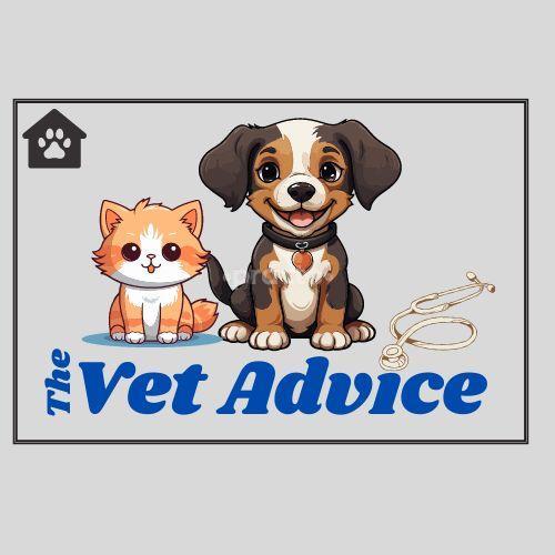The Vet Advice Gurgaon Sector 23 Gurgaon
