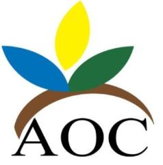 American Outpatient Cinics