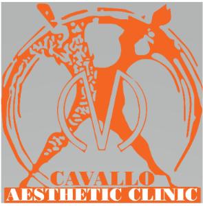 Cavallo Clinic L L C