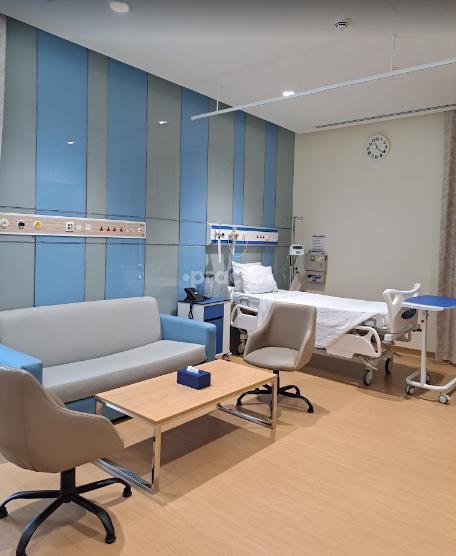 The American European Plastic Surgery Clinic L.L.C Um Al Sheif Dubai