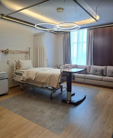 The American European Plastic Surgery Clinic L.L.C Um Al Sheif Dubai