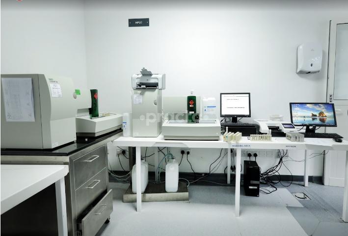 Avm Labs L. L. C Port Saeed Dubai