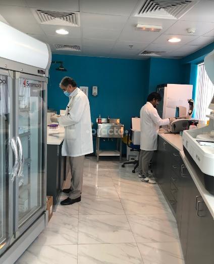 Alpha Medical Laboratory Tecom Dubai