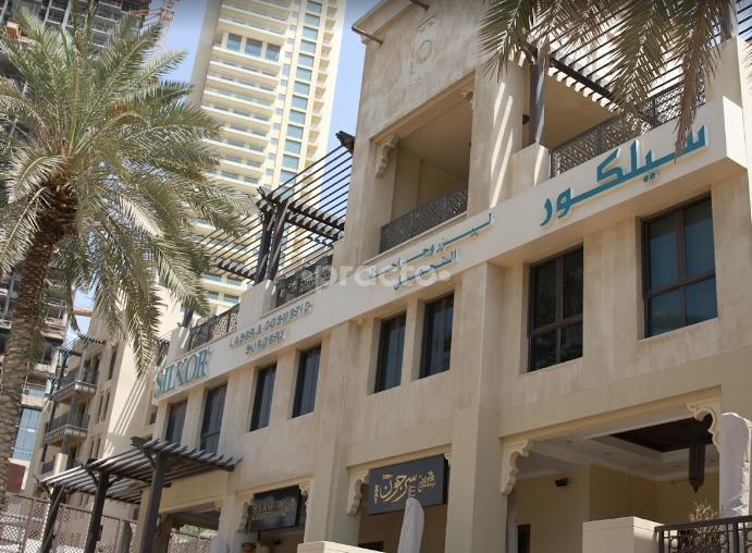 Silkor Day Surgery Center Llc Bur Dubai Dubai