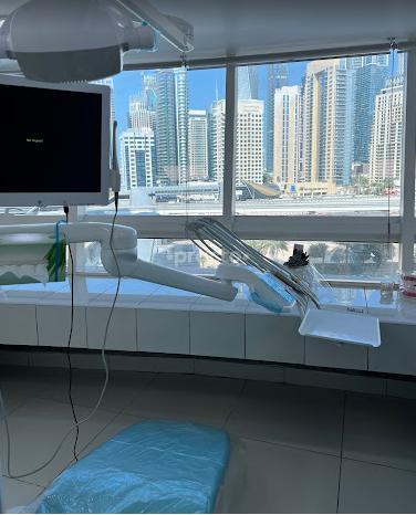 American Arabian Medical Center Dmcc Dubai Dubai