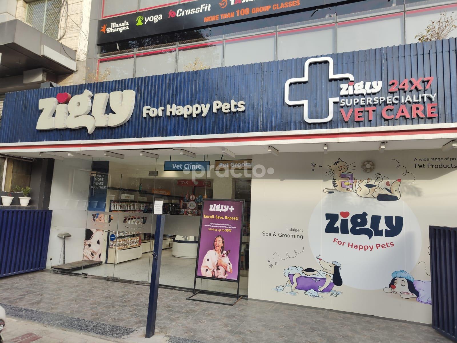 Outside Area at Zigly For Happy Pets Janakpuri Delhi