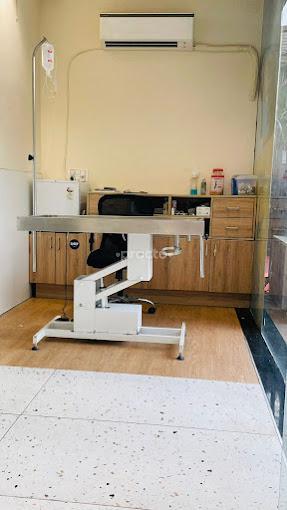 Consultation Room at Zigly For Happy Pets Janakpuri Delhi