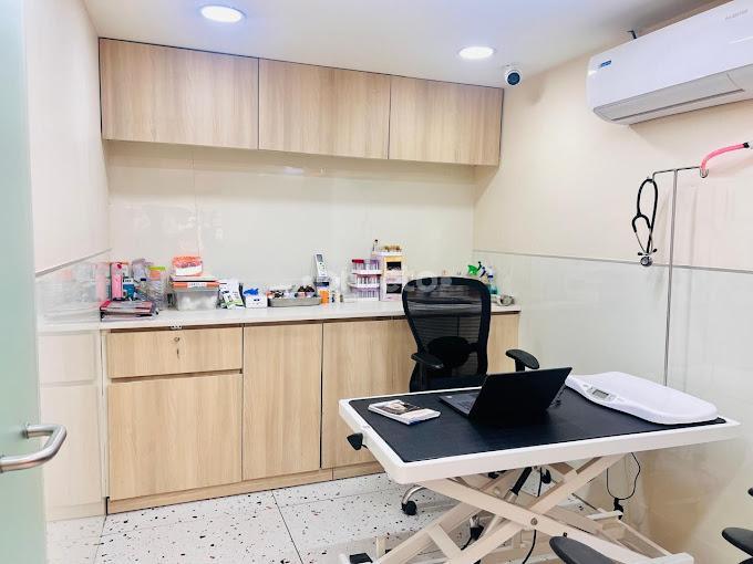 Consultation Room at  Zigly For Happy Pets Green Park Delhi