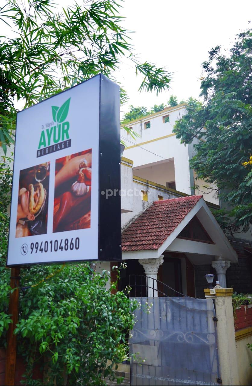 Outside Area at Dr. Vidya's Ayur Heritage Sholinganallur Chennai