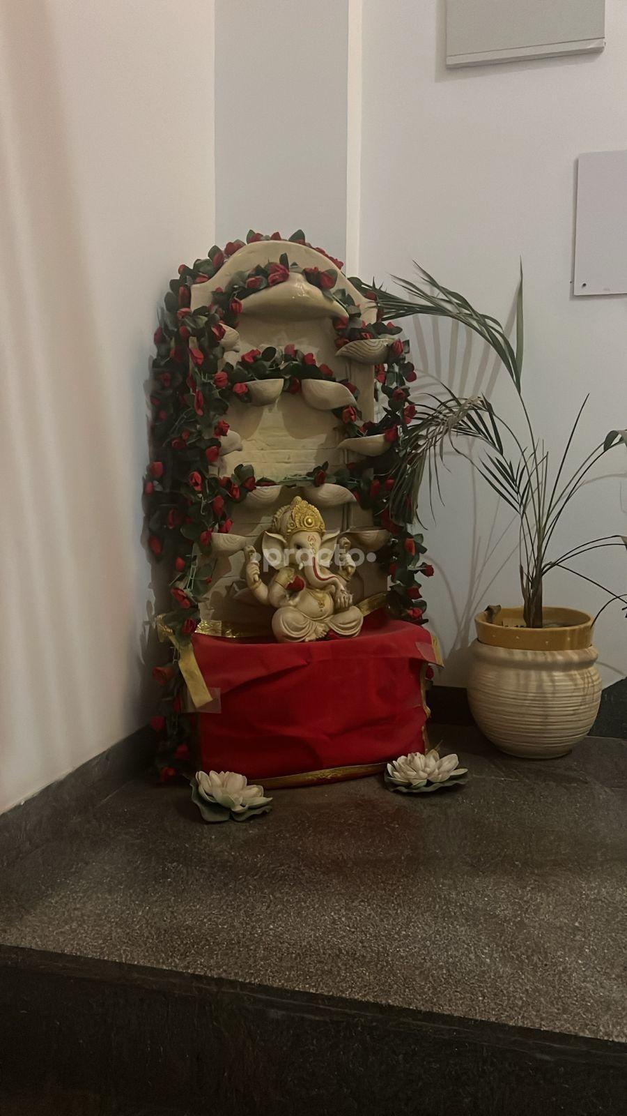 Reception Area at APNC Nature Cure & Holistic Healthcare Center DLF Phase V Gurgaon