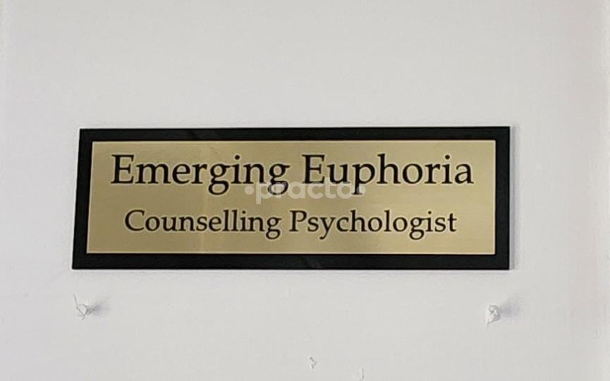 Emerging Euphoria Nallagandla Hyderabad